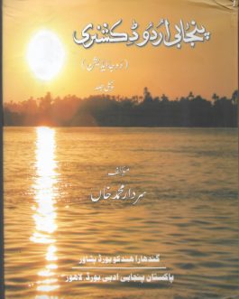 Punjabi Urdu Dictionary 2nd edition